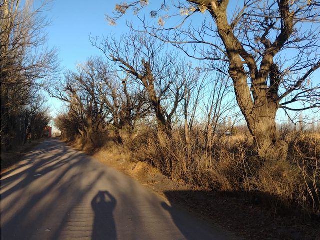place photo 14