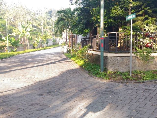 place photo 17