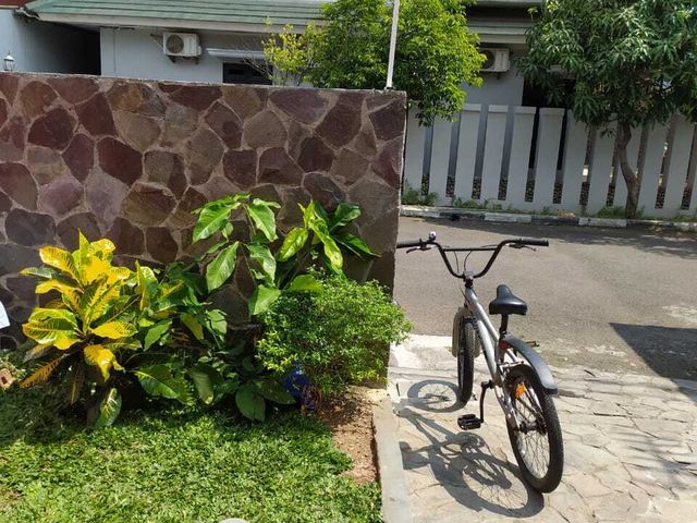 place photo 15