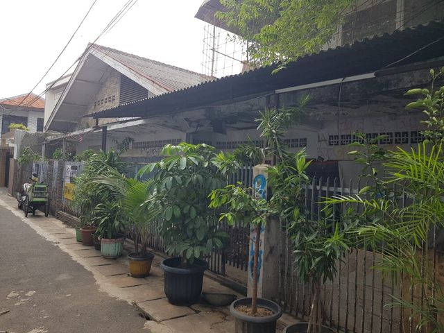 place photo 6