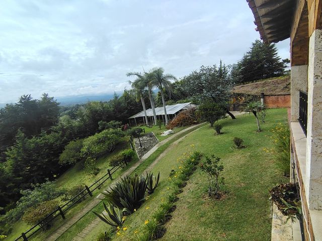 place photo 48