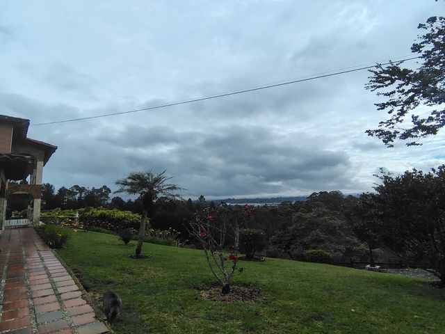 place photo 53