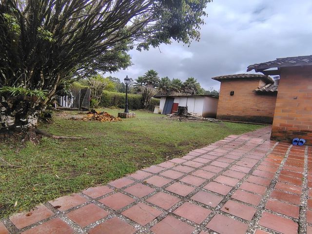 place photo 46