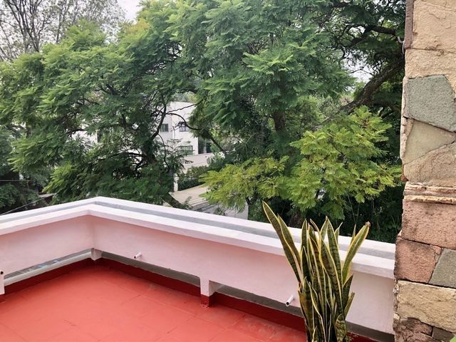place photo 39