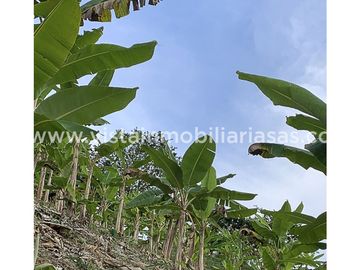 place photo 54