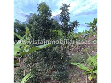 place photo 51