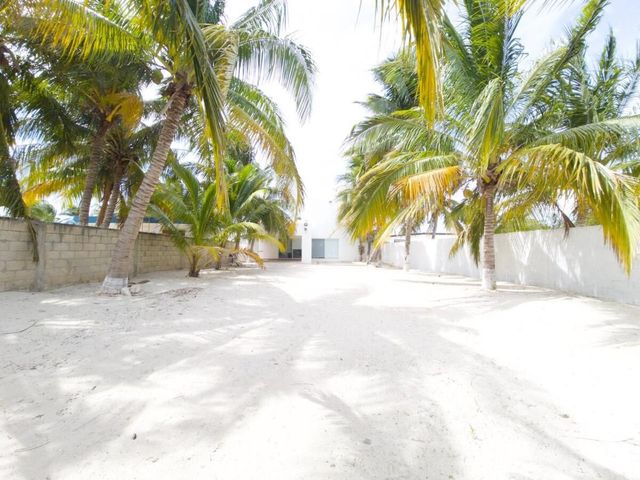 place photo 14