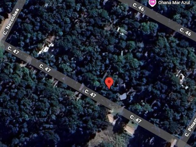 place photo 14