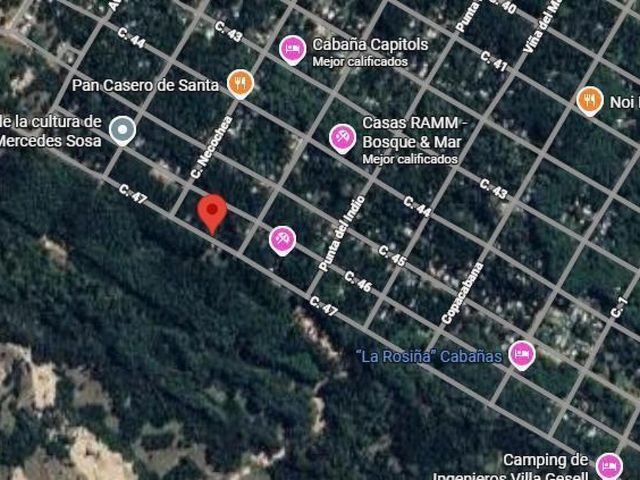 place photo 21