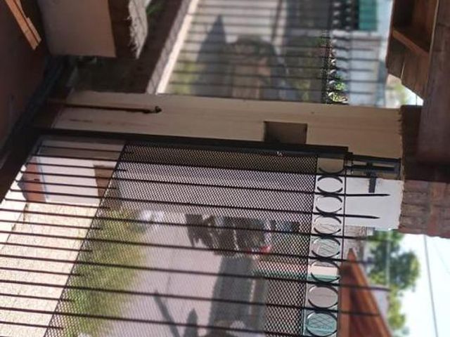 place photo 45