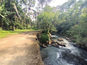 Tanah untuk disewakan di Pupuan Sawah