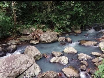 Dalang, Selemadeg Timur, TABANAN, Bali, Indonesia