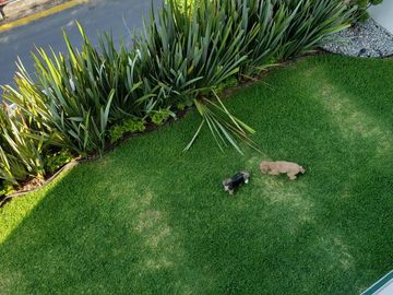 place photo 32