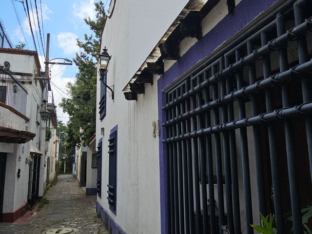 place photo 43