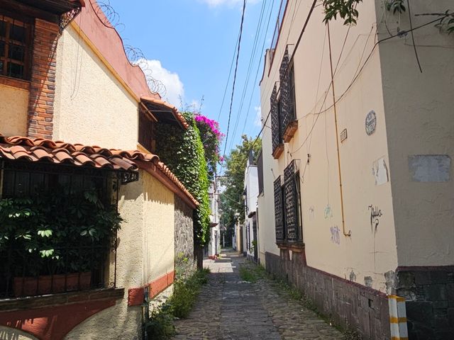place photo 34