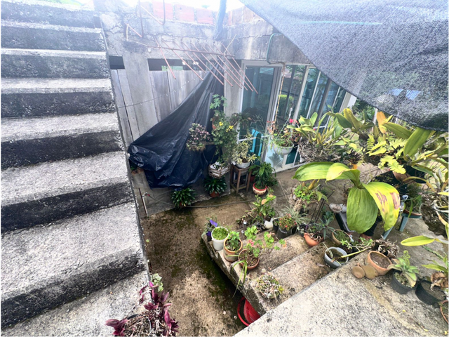 place photo 40