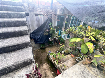 place photo 40
