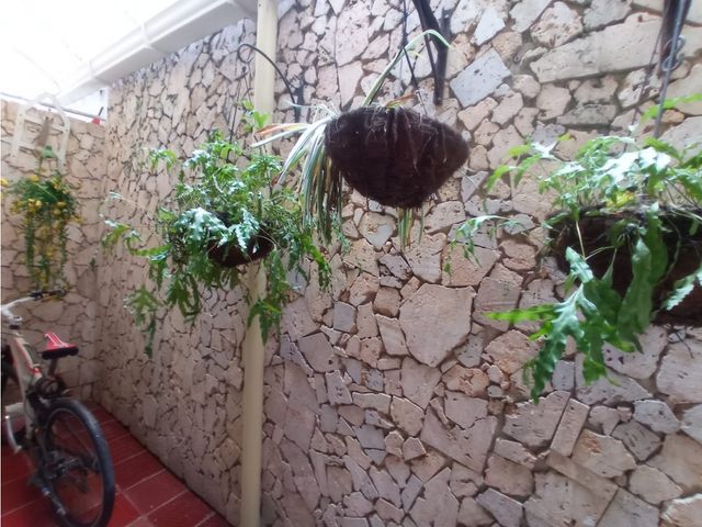 place photo 17
