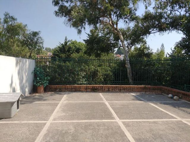 place photo 12