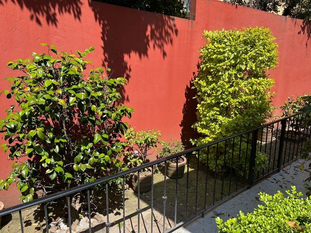 place photo 25