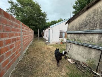 place photo 16