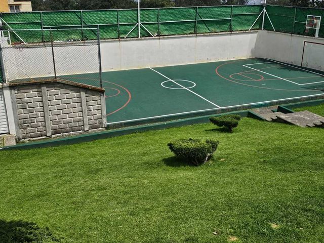 place photo 20