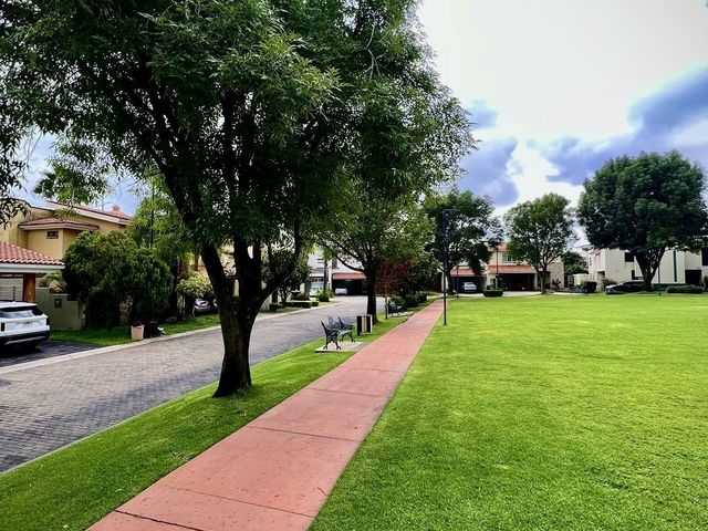 place photo 44