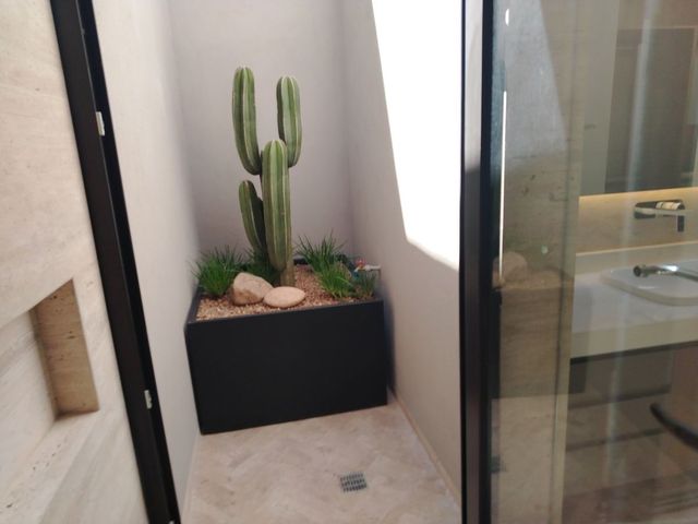 place photo 47