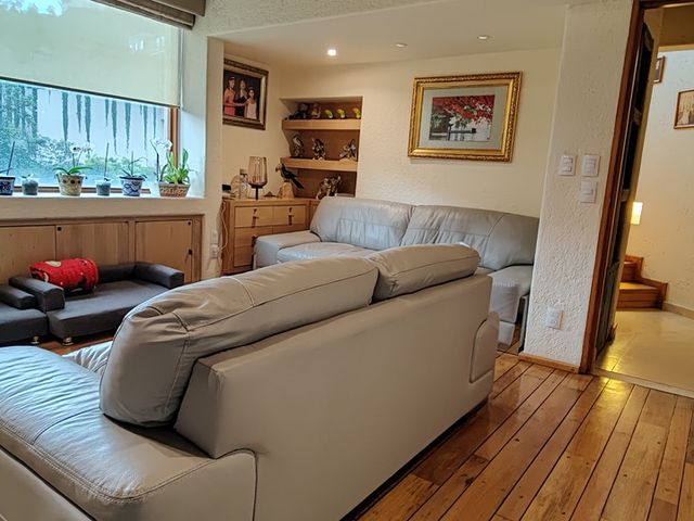 place photo 39