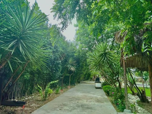 place photo 39