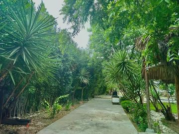 place photo 39