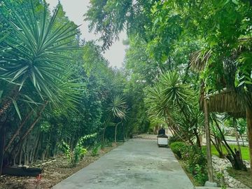 place photo 40