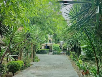 place photo 41