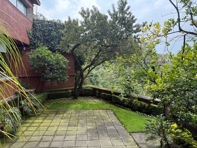 place photo 43