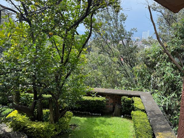 place photo 42