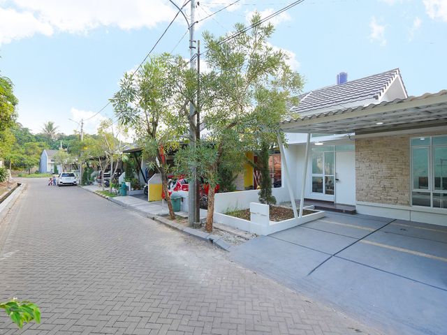 place photo 19