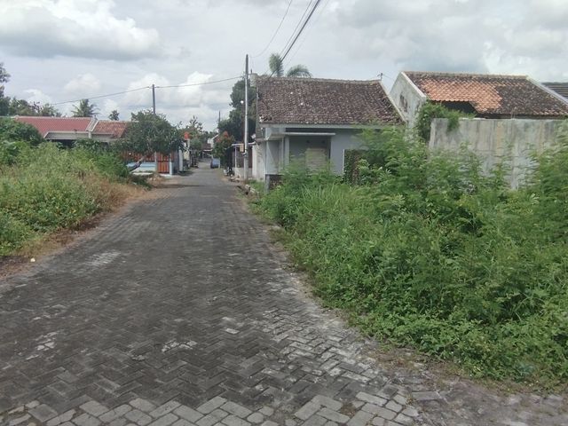 place photo 12