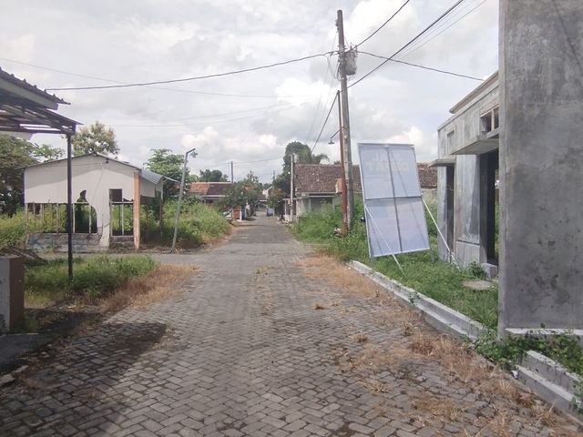 place photo 14