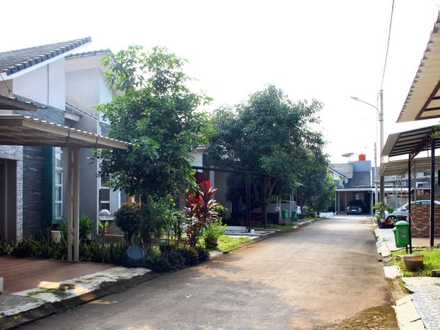 place photo 17