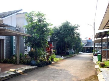 place photo 17