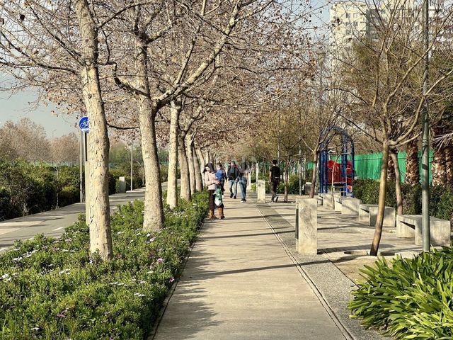 place photo 25