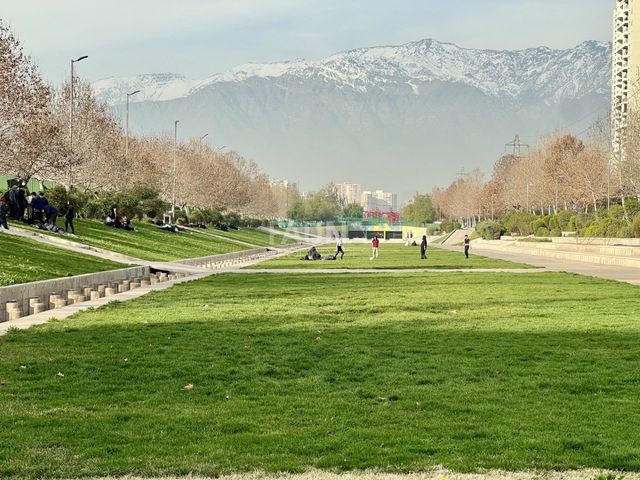 place photo 26