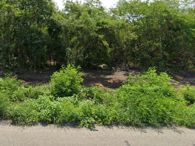 place photo 10