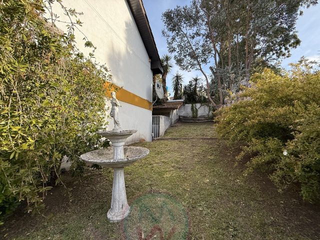 place photo 44