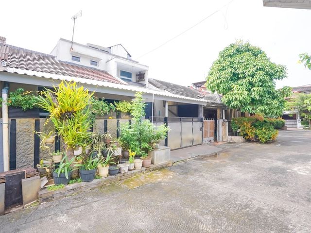 place photo 43