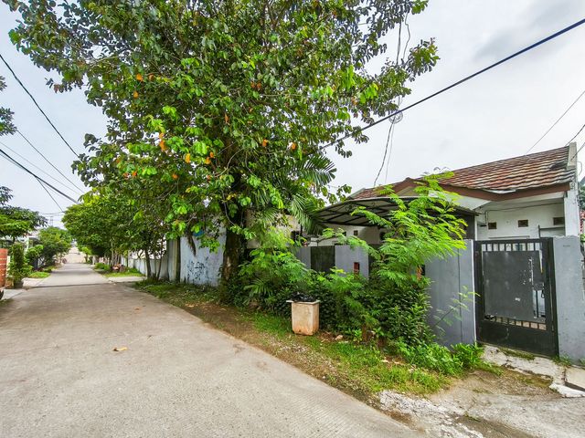 place photo 13
