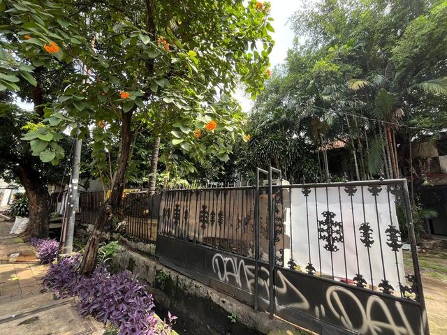 place photo 9