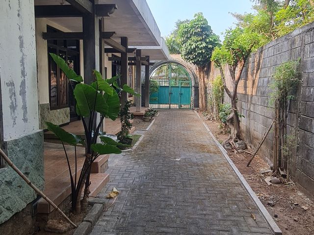 place photo 37