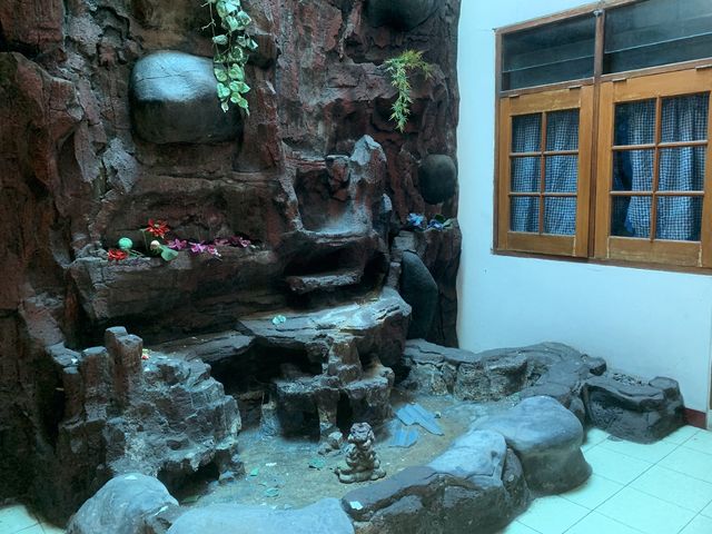 place photo 14