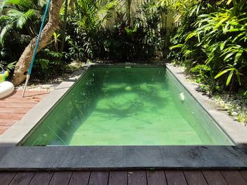 Canggu, Bali, Kuta Utara, BADUNG, Bali, Indonesia